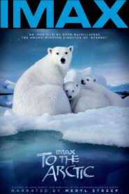 To the Arctic 3D 2012 one on netflix