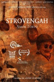 Strovengah: Amor Torto 2011 one on netflix