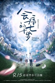 Growing Pains 2017 one on netflix