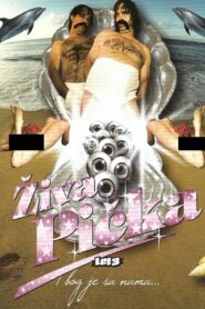 Let 3 – Pussy Alive 2008 one on netflix