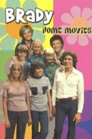 Brady Bunch Home Movies 1995 one on netflix