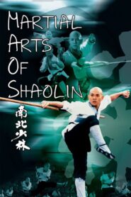 Martial Arts of Shaolin 1986 one on netflix