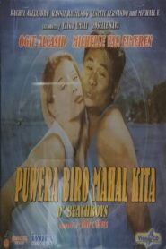 Puwera Biro Mahal Kita: D’ Beachboys 1995 one on netflix