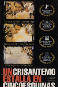 A Crysanthemum Bursts in Cincoesquinas 1998 one on netflix