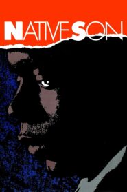 Native Son 1986 one on netflix