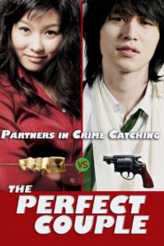 The Perfect Couple 2007 one on netflix