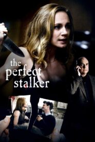The Perfect Stalker 2016 one on netflix