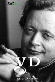 VD 1988 one on netflix