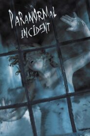 Paranormal Incident 2011 one on netflix