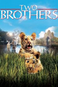 Two Brothers 2004 one on netflix