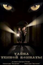 A Dark Room Mystery 2014 one on netflix
