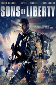 Sons of Liberty 2013 one on netflix