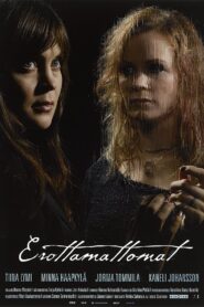 Sisters Apart 2008 one on netflix