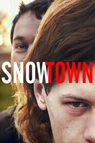 Snowtown 2011 one on netflix