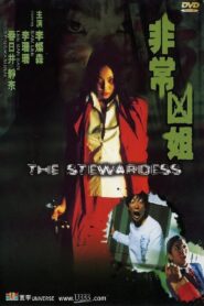 The Stewardess 2002 one on netflix