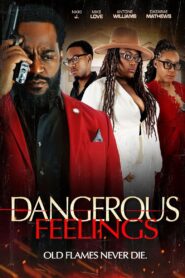 Dangerous Feelings 2024 one on netflix