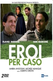 Eroi per caso 2011 one on netflix