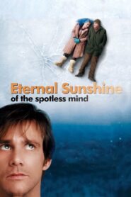 Eternal Sunshine of the Spotless Mind 2004 one on netflix