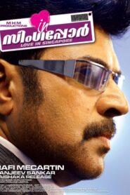 Love in Singapore 2009 one on netflix