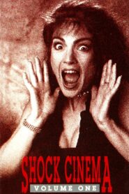 Shock Cinema: Volume One 1991 one on netflix