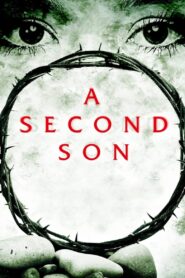A Second Son 2012 one on netflix