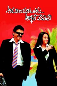 Aadavari Matalaku Ardhalu Verule 2007 one on netflix