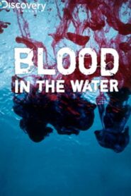 Blood in the Water 2009 one on netflix