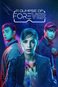 A Glimpse of Forever 2024 one on netflix