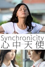Synchronicity 2011 one on netflix