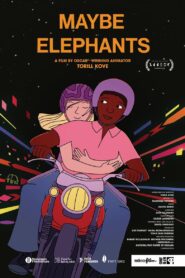 Maybe Elephants 2024 one on netflix