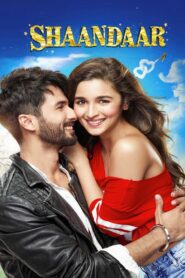 Shaandaar 2015 one on netflix