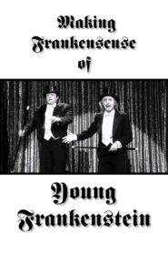 Making Frankensense of Young Frankenstein 1996 one on netflix
