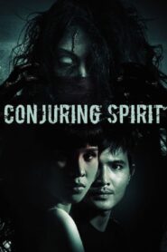 Conjuring Spirit 2014 one on netflix