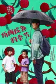 The Season When Bayberries Are Ripe 2024 one on netflix