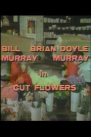 Cut Flowers 1981 one on netflix