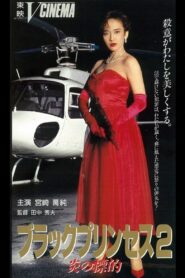 Black Princess 2 Flame Target 1991 one on netflix