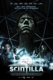 Scintilla 2014 one on netflix