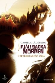 The Fjällbacka Murders: In the Eye of the Beholder 2012 one on netflix