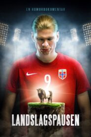Landslagspausen 2024 one on netflix
