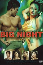 Big Night 2009 one on netflix
