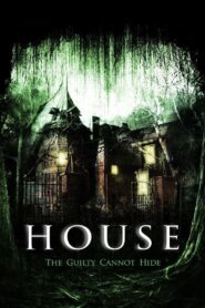 House 2008 one on netflix