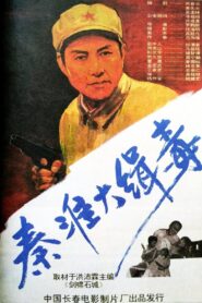 Seize Drg Smugglers in Qin Huai 1993 one on netflix