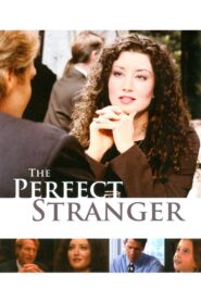 The Perfect Stranger 2005 one on netflix