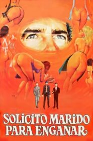 Solicito marido para engañar 1988 one on netflix