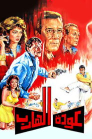 Return of the Fugitive 1990 one on netflix