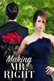 Making Mr. Right 2008 one on netflix