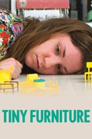 Tiny Furniture 2010 one on netflix