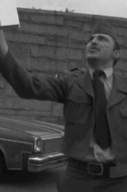 King Blank 1983 one on netflix