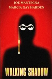 Walking Shadow 2001 one on netflix