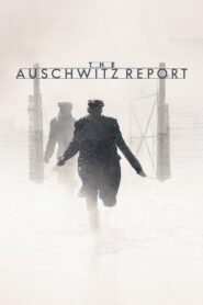 The Auschwitz Report 2021 one on netflix